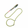 Nylon Dog Leash for Everyday Walks and Training