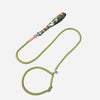 Nylon Dog Leash for Everyday Walks and Training