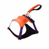 Nylon Dog Harness with Retractable Leash