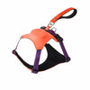 Nylon Dog Harness with Retractable Leash