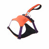 Nylon Dog Harness with Retractable Leash