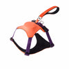 Nylon Dog Harness with Retractable Leash