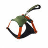 Nylon Dog Harness with Retractable Leash