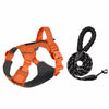 Adjustable Nylon Dog Harness with 59.1-Inch Leash