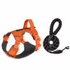 Adjustable Nylon Dog Harness with 59.1-Inch Leash