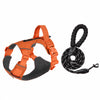 Adjustable Nylon Dog Harness with 59.1-Inch Leash