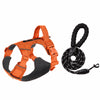Adjustable Nylon Dog Harness with 59.1-Inch Leash