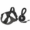 Adjustable Nylon Dog Harness with 59.1-Inch Leash
