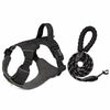 Adjustable Nylon Dog Harness with 59.1-Inch Leash