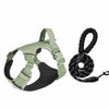 Adjustable Nylon Dog Harness with 59.1-Inch Leash