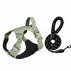 Adjustable Nylon Dog Harness with 59.1-Inch Leash
