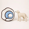 Dog Recovery Cone Collar in Multiple Sizes
