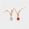 Cat Feather Ball Toy for Interactive Play