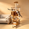 Large Wooden Cat Tree with Enclosed Spaces and Scratching Posts