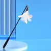 Interactive Cat Teaser Wand with Feather Replacement Heads
