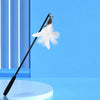 Interactive Cat Teaser Wand with Feather Replacement Heads