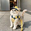 Pet Harness, Leash & Hat Sets for Cats and Dogs