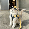 Pet Harness, Leash & Hat Sets for Cats and Dogs