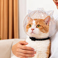 Cat Cone Collar for Grooming and Routine Handling