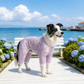 Four-Leg Mesh Dog Shirt with Printed Design