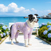 Four-Leg Mesh Dog Shirt with Printed Design