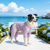Four-Leg Mesh Dog Shirt with Printed Design