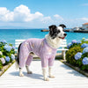 Four-Leg Mesh Dog Shirt with Printed Design