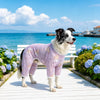 Four-Leg Mesh Dog Shirt with Printed Design
