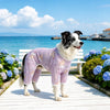 Four-Leg Mesh Dog Shirt with Printed Design