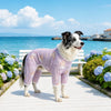 Four-Leg Mesh Dog Shirt with Printed Design