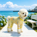 Four-Leg Mesh Dog Shirt with Printed Design