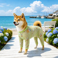 Four-Leg Mesh Dog Shirt with Printed Design