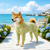 Four-Leg Mesh Dog Shirt with Printed Design