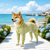 Four-Leg Mesh Dog Shirt with Printed Design