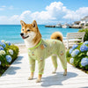 Four-Leg Mesh Dog Shirt with Printed Design