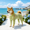 Four-Leg Mesh Dog Shirt with Printed Design