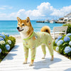Four-Leg Mesh Dog Shirt with Printed Design