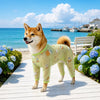Four-Leg Mesh Dog Shirt with Printed Design