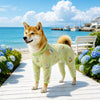 Four-Leg Mesh Dog Shirt with Printed Design
