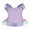 Harness and Leash for Small Dogs and Cats