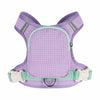 Harness and Leash for Small Dogs and Cats