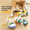 Squeaky Slipper Dog Toy for Small Dogs