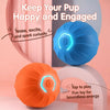 Squeaky Bouncing Ball Dog Toy