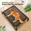 Elevated Mesh Cot-Style Dog Bed with Iron Frame