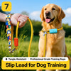 Nylon Dog Leash for Everyday Walks