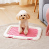 Dog Potty Training Tray for Small to Large Dogs