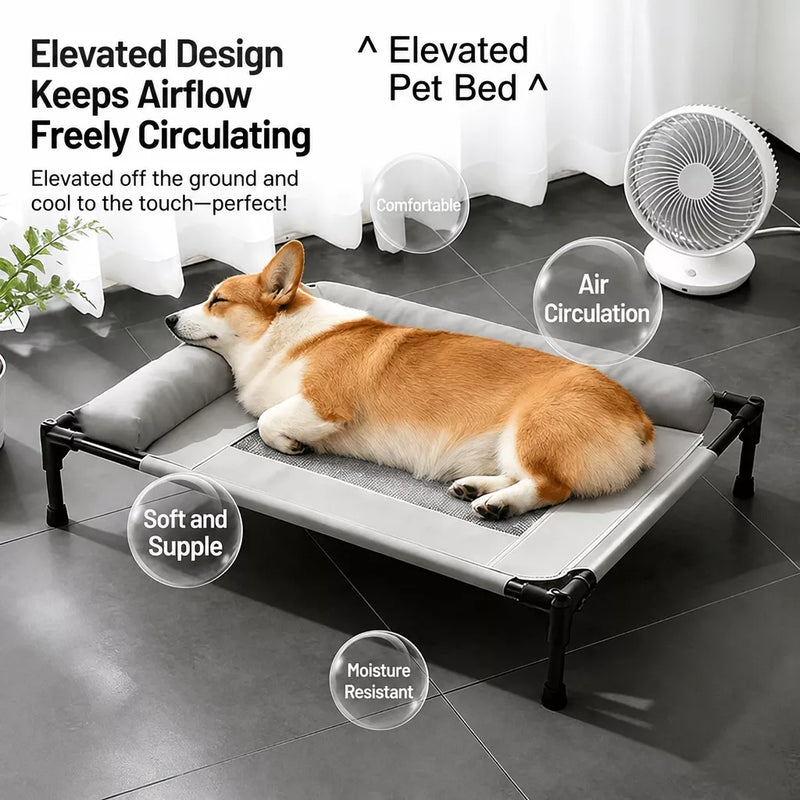 Elevated Dog Cot Bed with Metal Frame