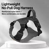 Lightweight Adjustable Nylon Dog Harness with Leash