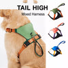 Nylon Dog Harness with Retractable Leash