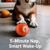 Squeaky Bouncing Ball Dog Toy